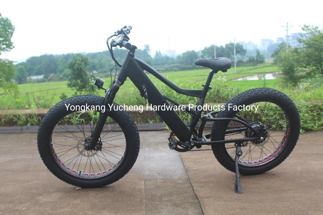 La Chine Wholesale Hot 500W 48V E E Vélo vélo Vélo électrique 26 femmes Lady vélo électrique