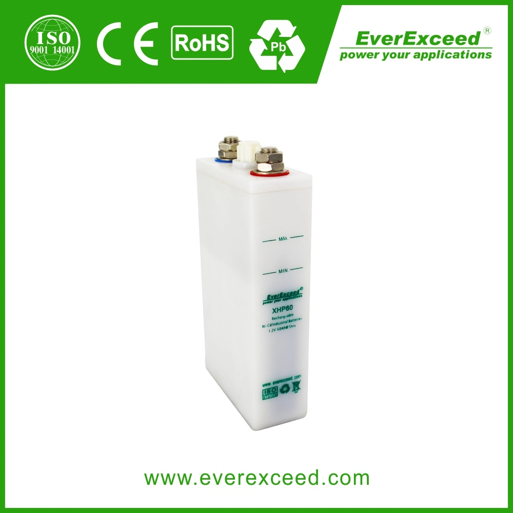 Everexceed Nickel Cadmium lange Lebensdauer-Speicherbatterie Wiederaufladbare NiCd-Batterie Paket