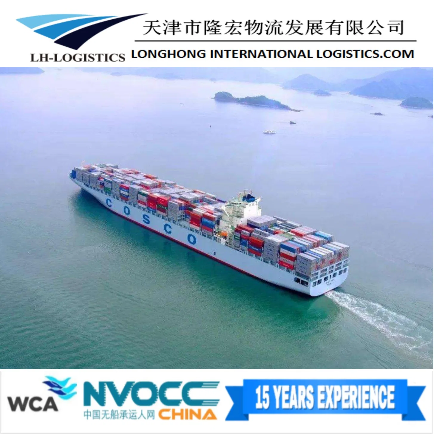 Fret maritime compétitif de Shanghai/Tianjin/Qingdao à Nhava Sheva