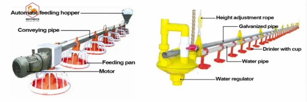 Machines pour le bétail système de ligne de plateau d'alimentation automatique pour ferme de volaille pour Gril