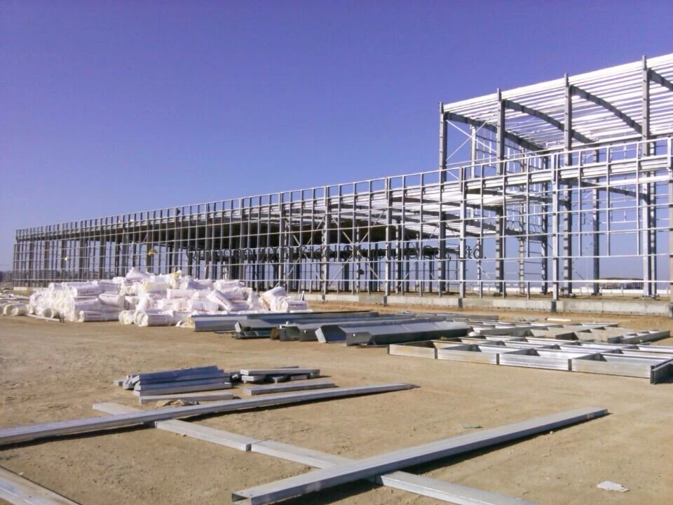 Steel Structure Supporting Concrete Construction for Hangar Stadium School Buildings Hospital Buildings