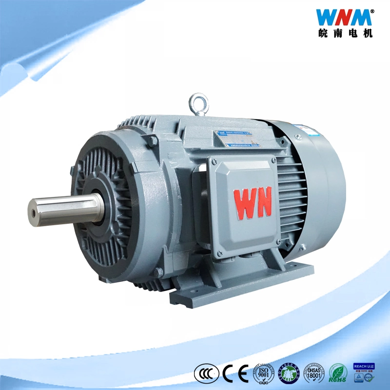 Ye3 IEC Standard Chinese Top Leading Electric Motor Manufacturer of Three Phase Induction Series Ye3-71m1-6 0.18kw