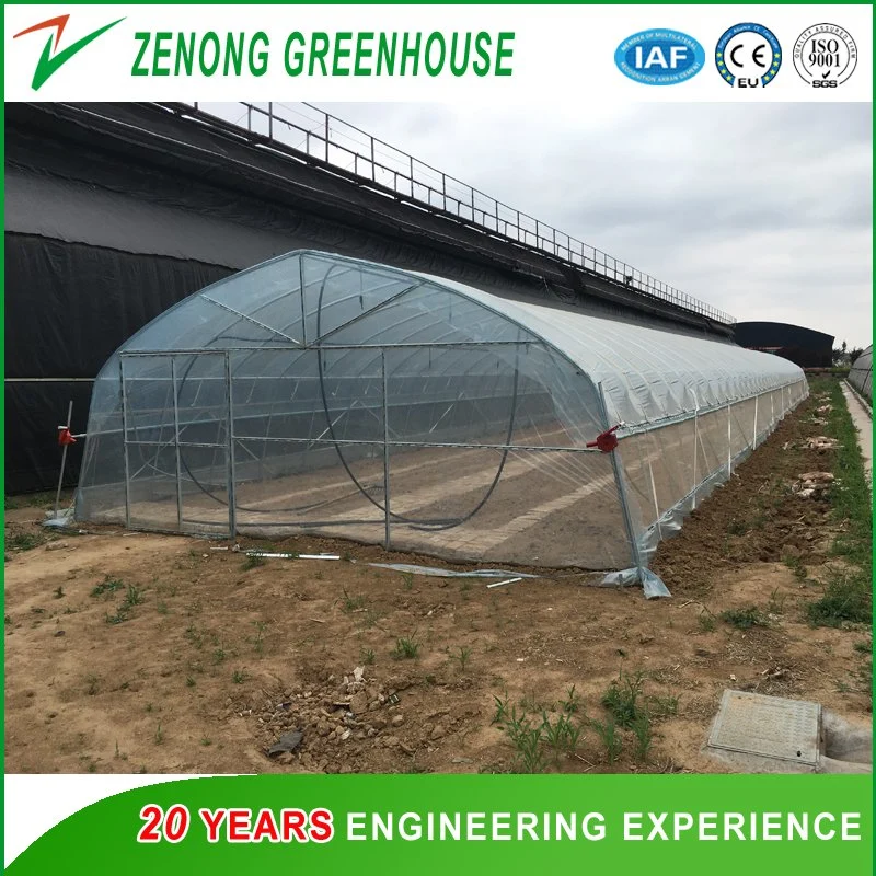 Easy Operation Small Size Single Span Po/PE/EVA Film Green House for Gardening/Hydroponics/Hotel Vegetable Cultivation