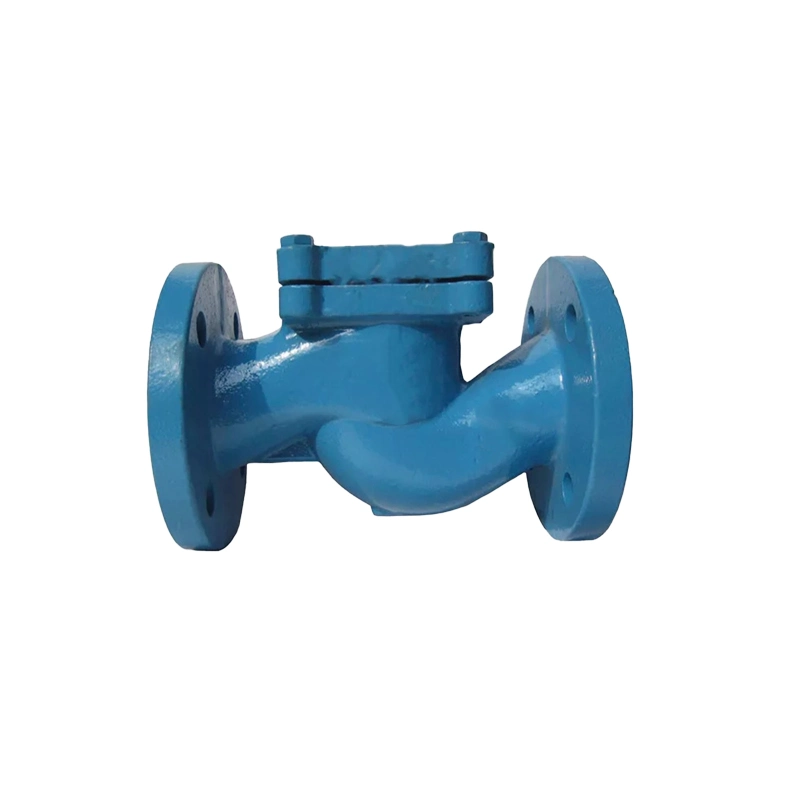 DN 150 Ductile Iron Non Return Ball Flange Check Valve ANSI 150