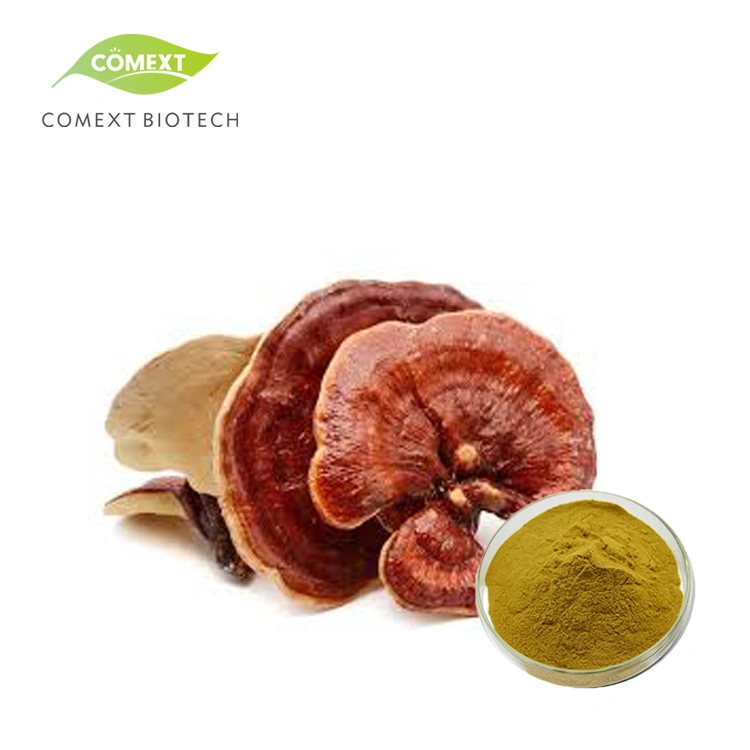 Comext ISO Fssc Halal Kosher Organic Manufacturer USA Stock Organic Reishi Mushroom Powder