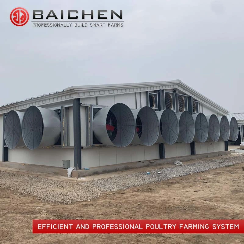 Green House Breeding Green Farm Poultry Ventilation Equipment