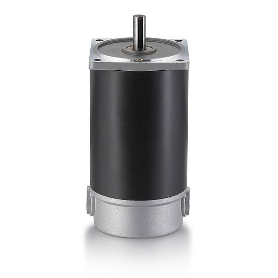 45mm Low Power High Torque 24V 3000rpm Permanent Magnet DC Carbon Brush Motor for Massage Chairs