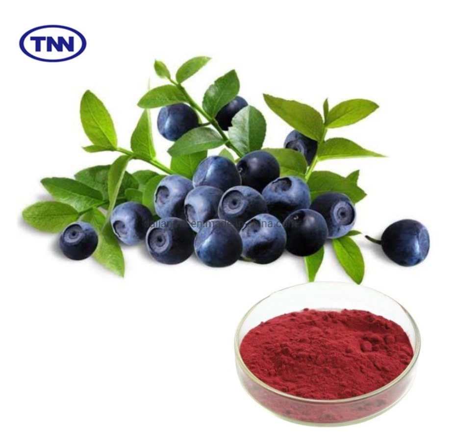 36% 18% 25% Bilberry Powder Extract Kosher Halal Bilberry Fruit Extract Powder