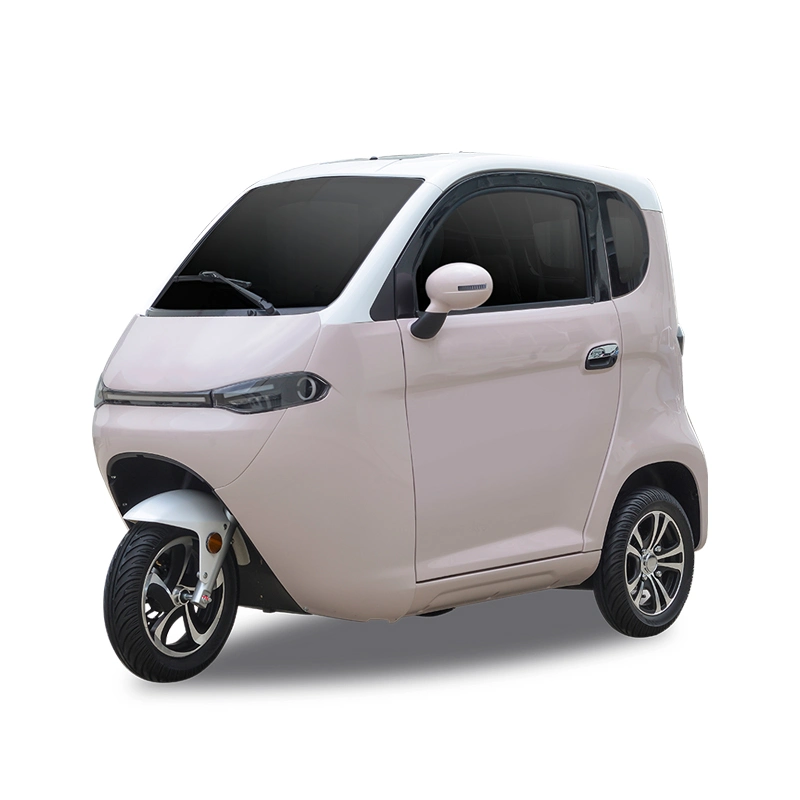 3 Wheel Mini Electric Car Motorcycle