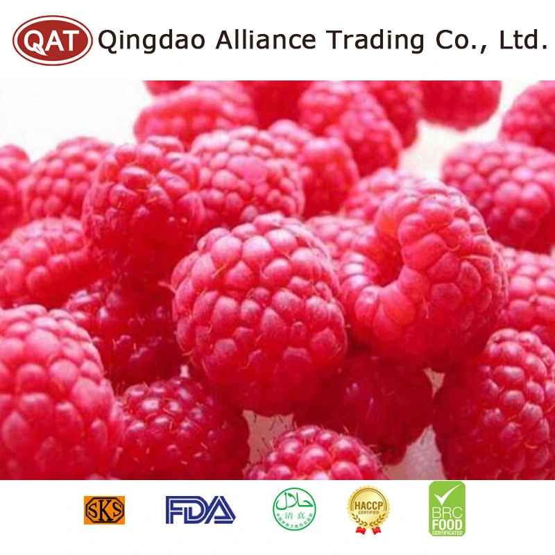 Supply IQF Blended Mixed Berries with HACCP Certificates