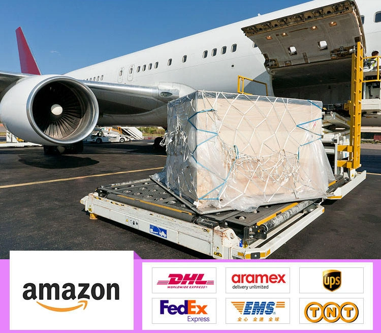 Cheapest Rate From China City Best Online Shopping to Pakistan Shipping Express/Air/Sea/Logistics Agent Forwarder