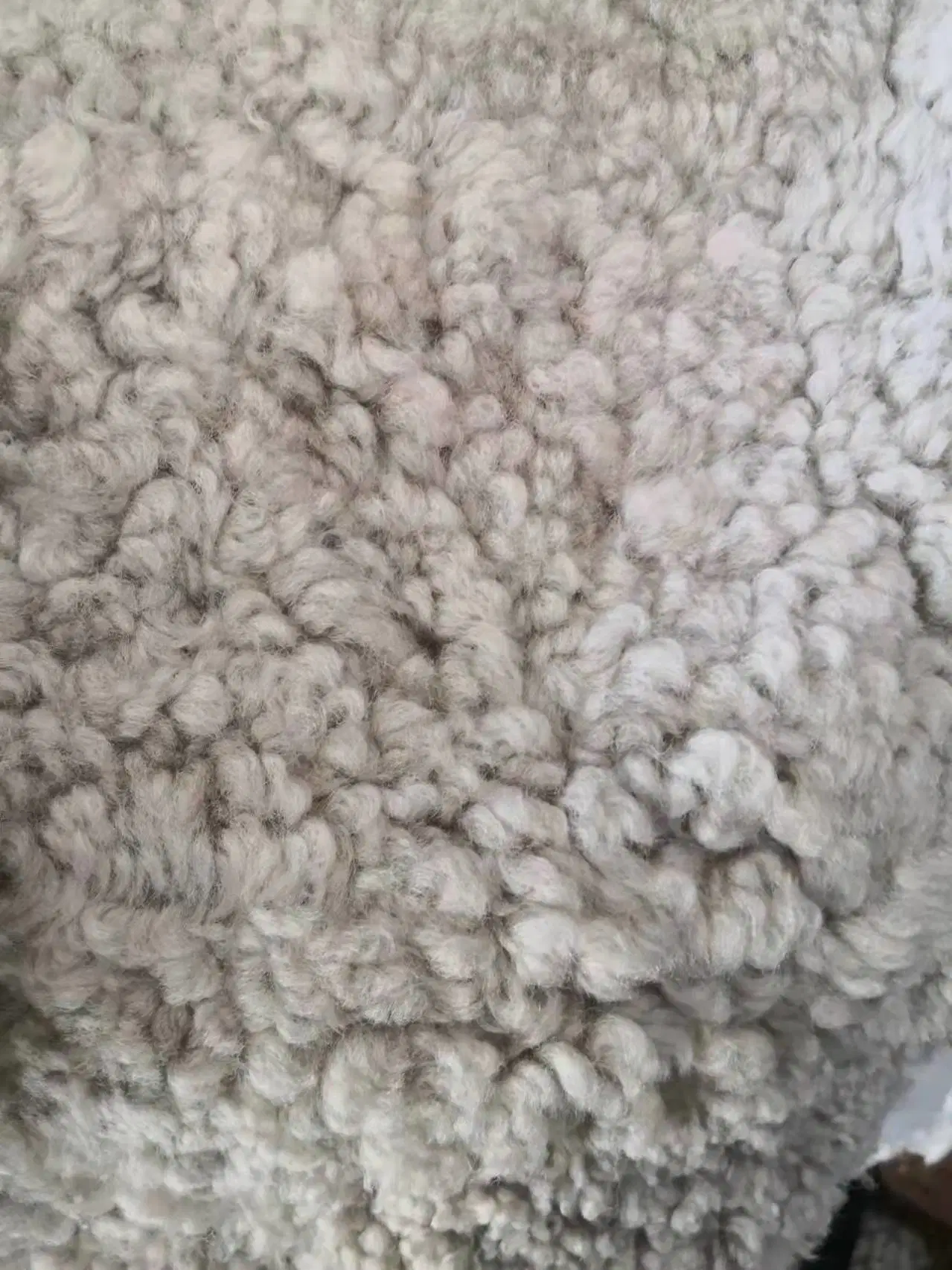 Venta de Shearling Sheepskin Fábrica Real de piel de cordero lana rizada Origen Australia para muebles