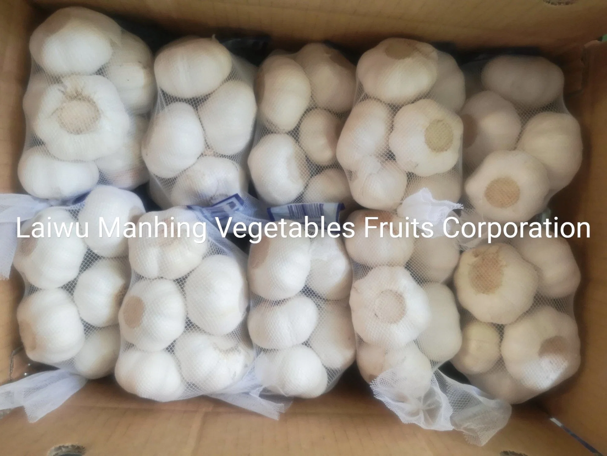 Shandong Garlic 2021 Crop to Oman