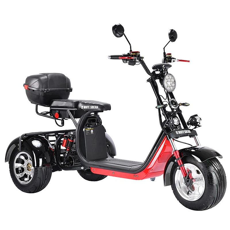 3 Wheels Powerful Adult Citycoco Electric Scooter 1500W 60V20ah with EEC Coc