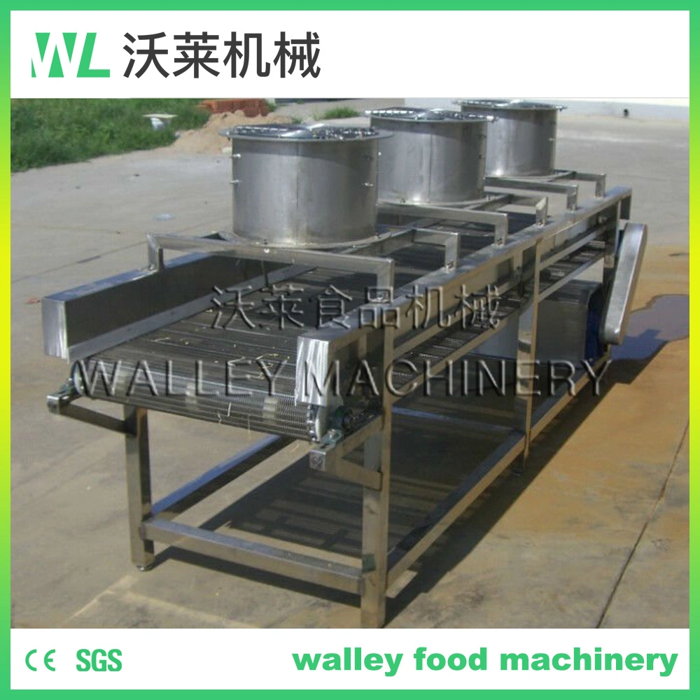 China Vegetable Surface Water Blowing Machine Blower