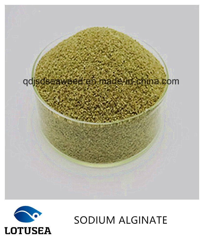 Textile Grade Reactive Dye Use Sodium Alginate 30mesh 1%1500cps