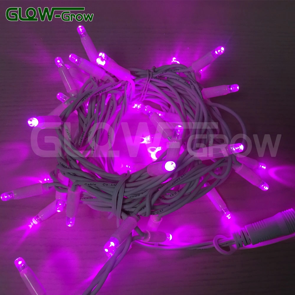 IP65 Waterproof 50 LEDs Christmas White LED String Light Birthday Lighting