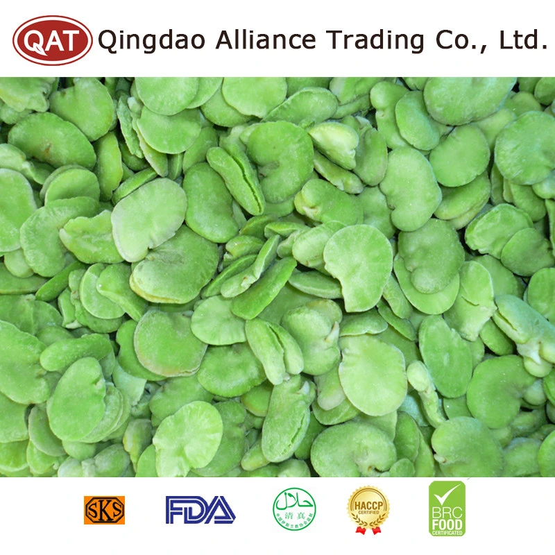 Halal Brc ISO New Crop Frozen IQF Green Color Broad Beans with Factory Price Broad Beans Kernels in Bulk Carton Package Retail Packing