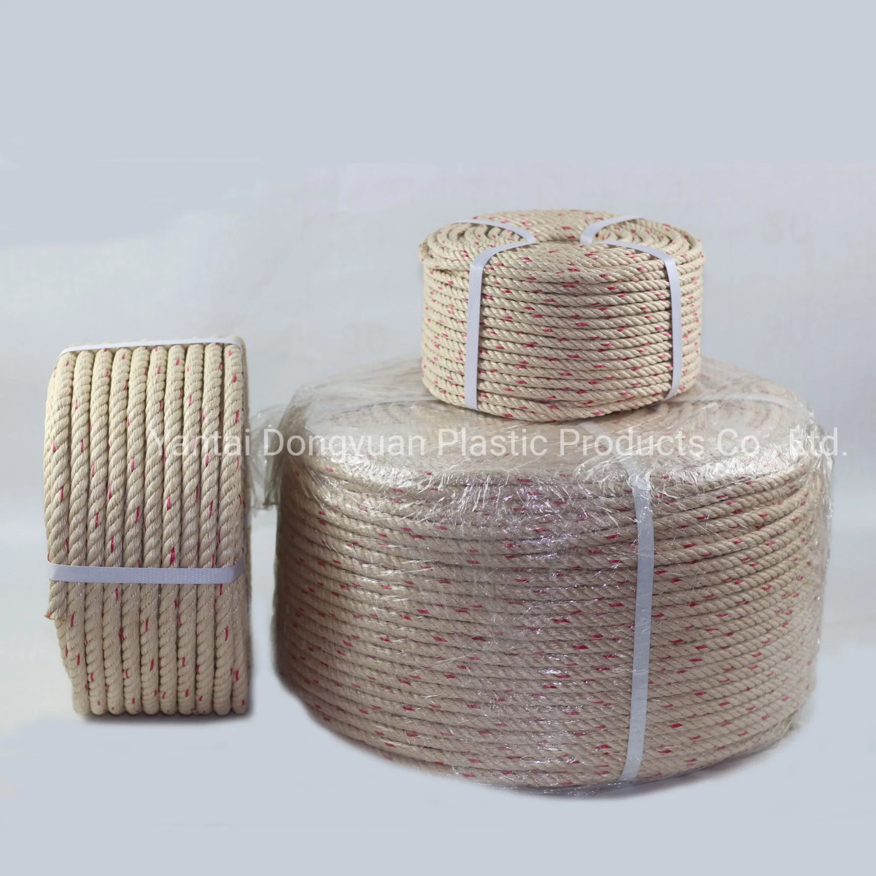 Polypropylene Danline Rope 6mm 8mm 10mm 12mm 14mm 16mm PP Ropes with Packing in Reel and Roll