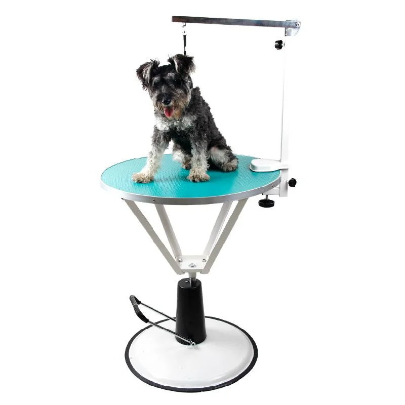 Chinese Manufacture Hot Sale Hydraulic Lifting Vet Folded Pet Grooming Table for Small Animals