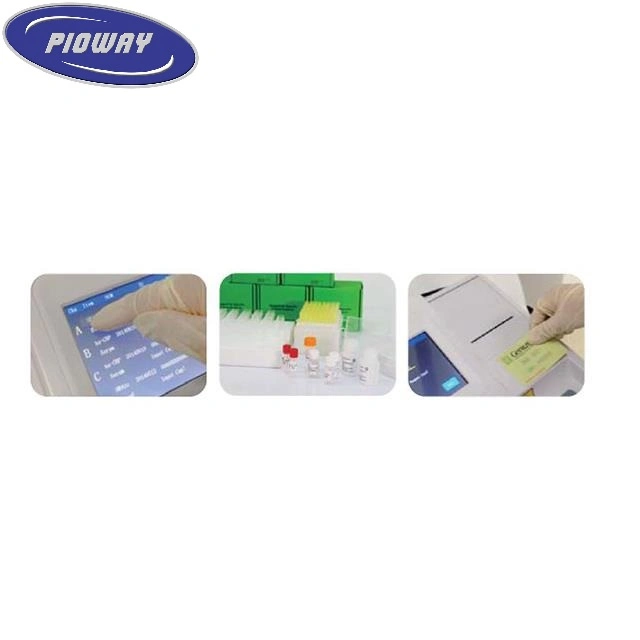 Medical Equipment Portable Specific Protein Analyzer (PA50)