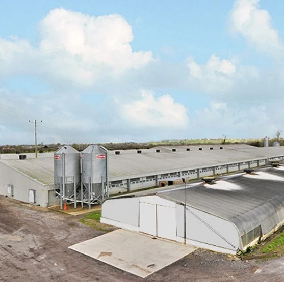 Factory Galvanized Manufacturing and Processing of Steel Poultry Houses