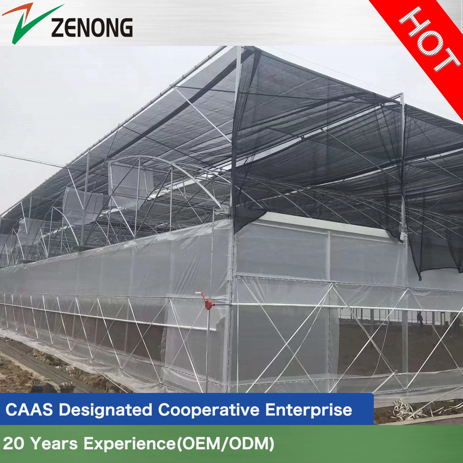 Plastic Film Greenhouse with Good Roof Ventilation and Cooling Heating System for Vertical Farming