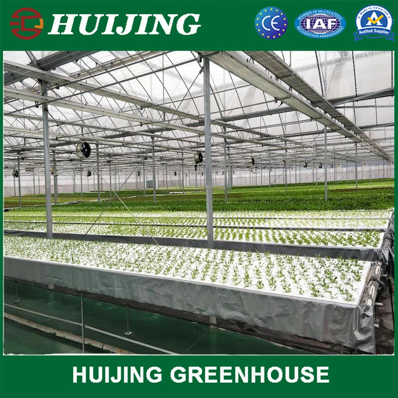 Plastic Film/Polycarbonate/Glass Tomato Greenhouse for Sale