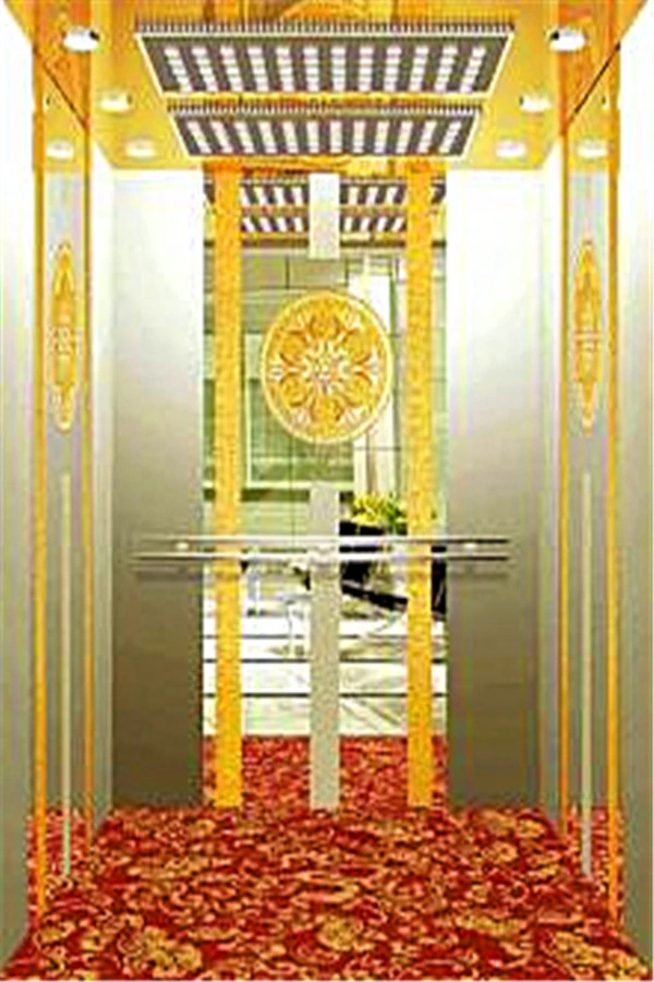 AC Original Factory Quality Hotel Home Elevator Lift