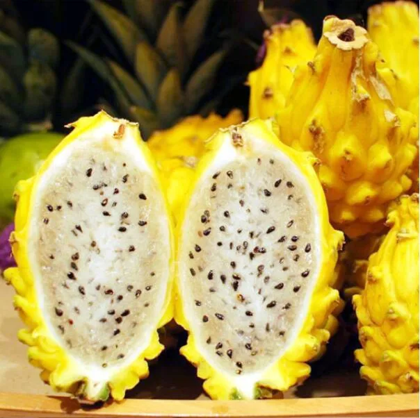 huo long guo hybrid yellow dragon fruit seeds yellow pitaya seeds