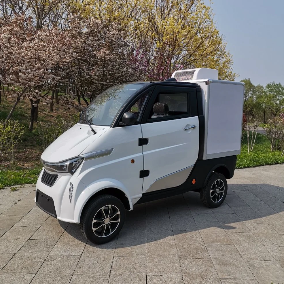 Chinese Electric Truck Electric Cargo Van 4 Wheel Electric Car with EEC Certification Without Driving License