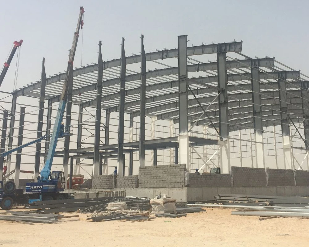 Dfx Metal Cheap Modular Prefabricated Steel Structure Metal Warehouse Building Material