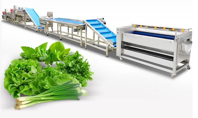 Spring Onion Vegetable Cut Clean Air-Dry Equipment Vegetable Leaf Processing Line