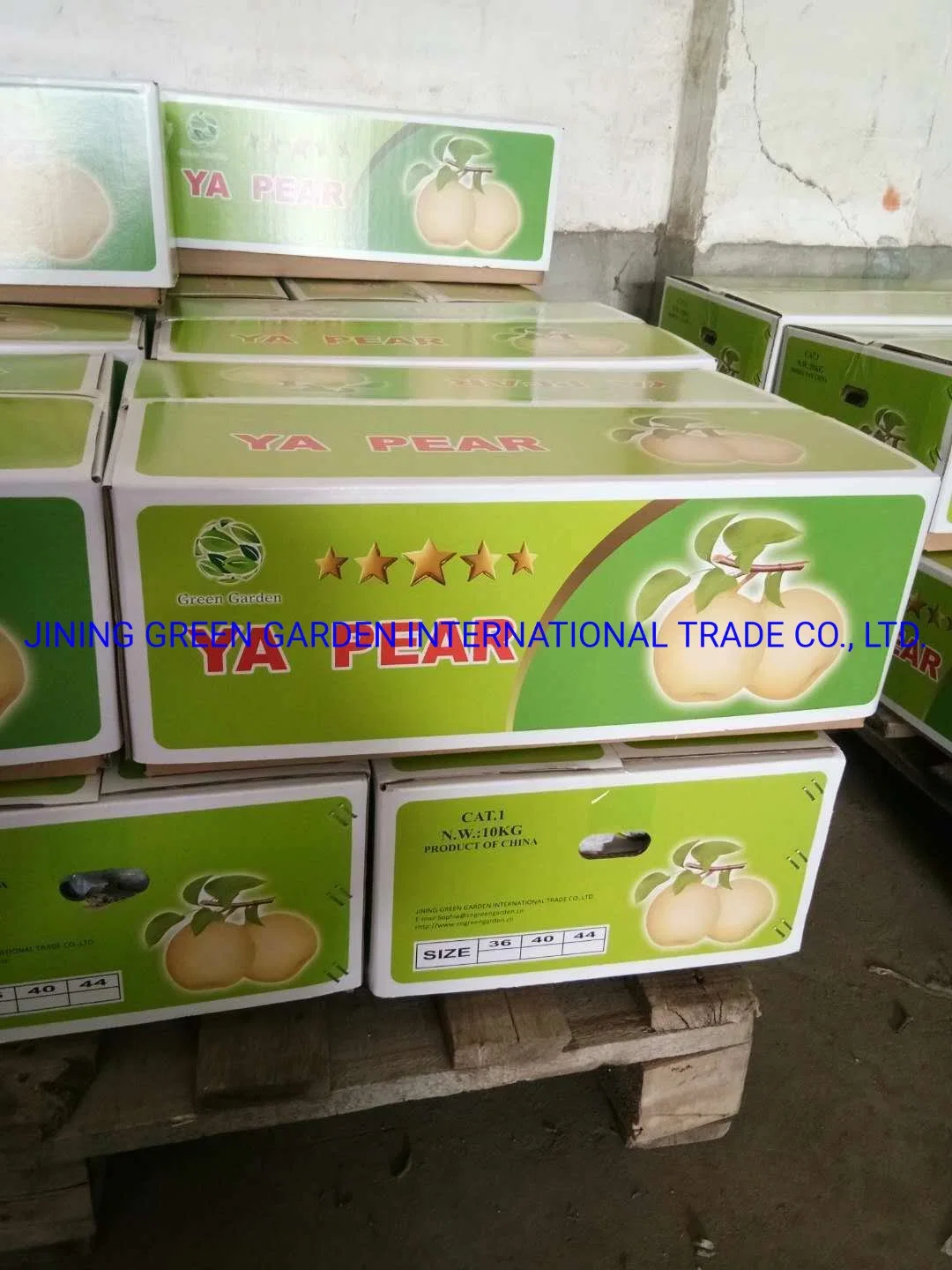 2021hot Sale Good Quality Fresh Ya Pear, Top Quality of Chinese Fresh Fruits Pear with Factory Price