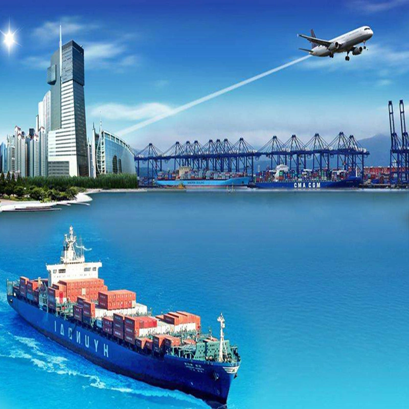 Msk/Cma Forwarder Service From China to Freetown Port