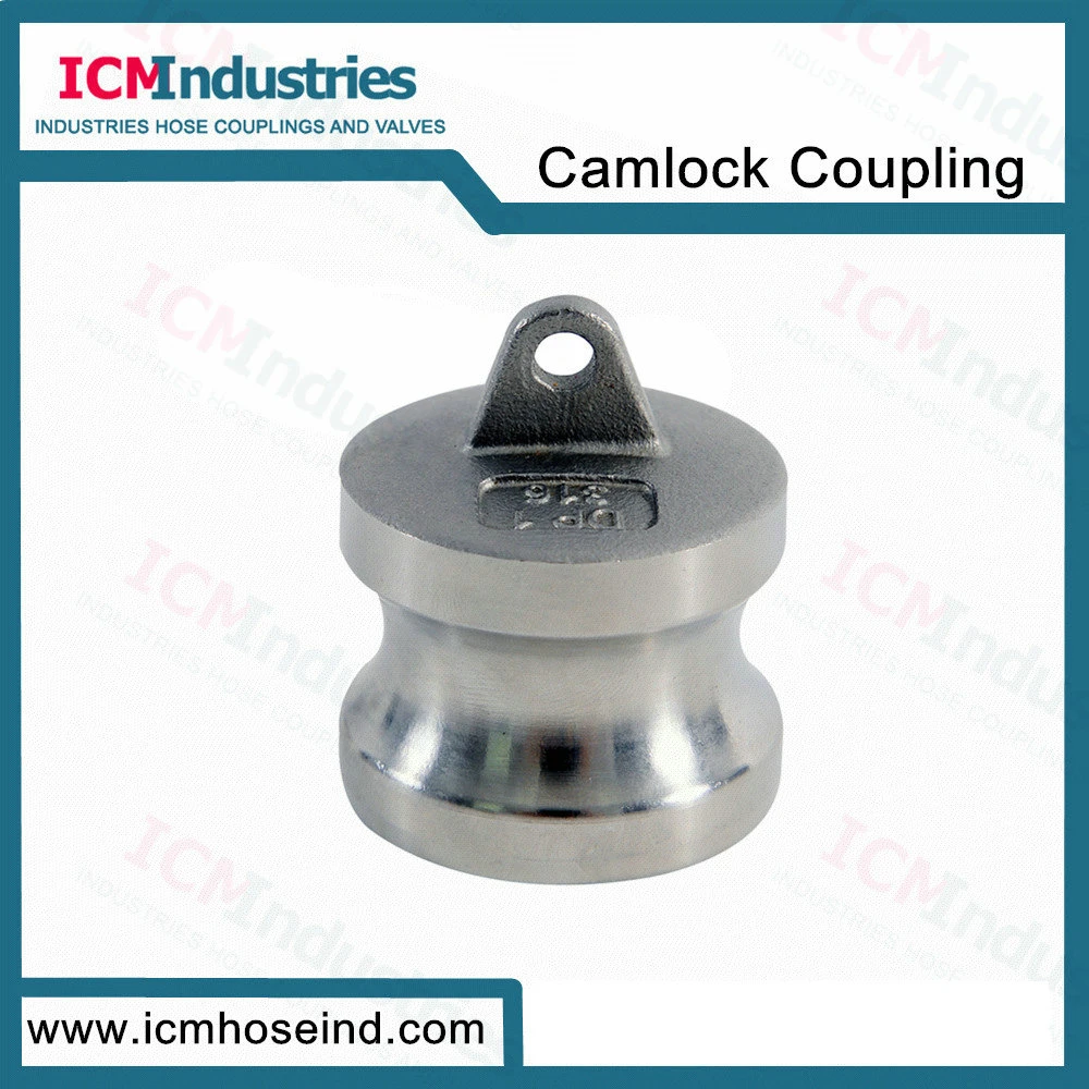 304 316 Stainless Steel 1/2''threaded Cam Lock Quick Coupling