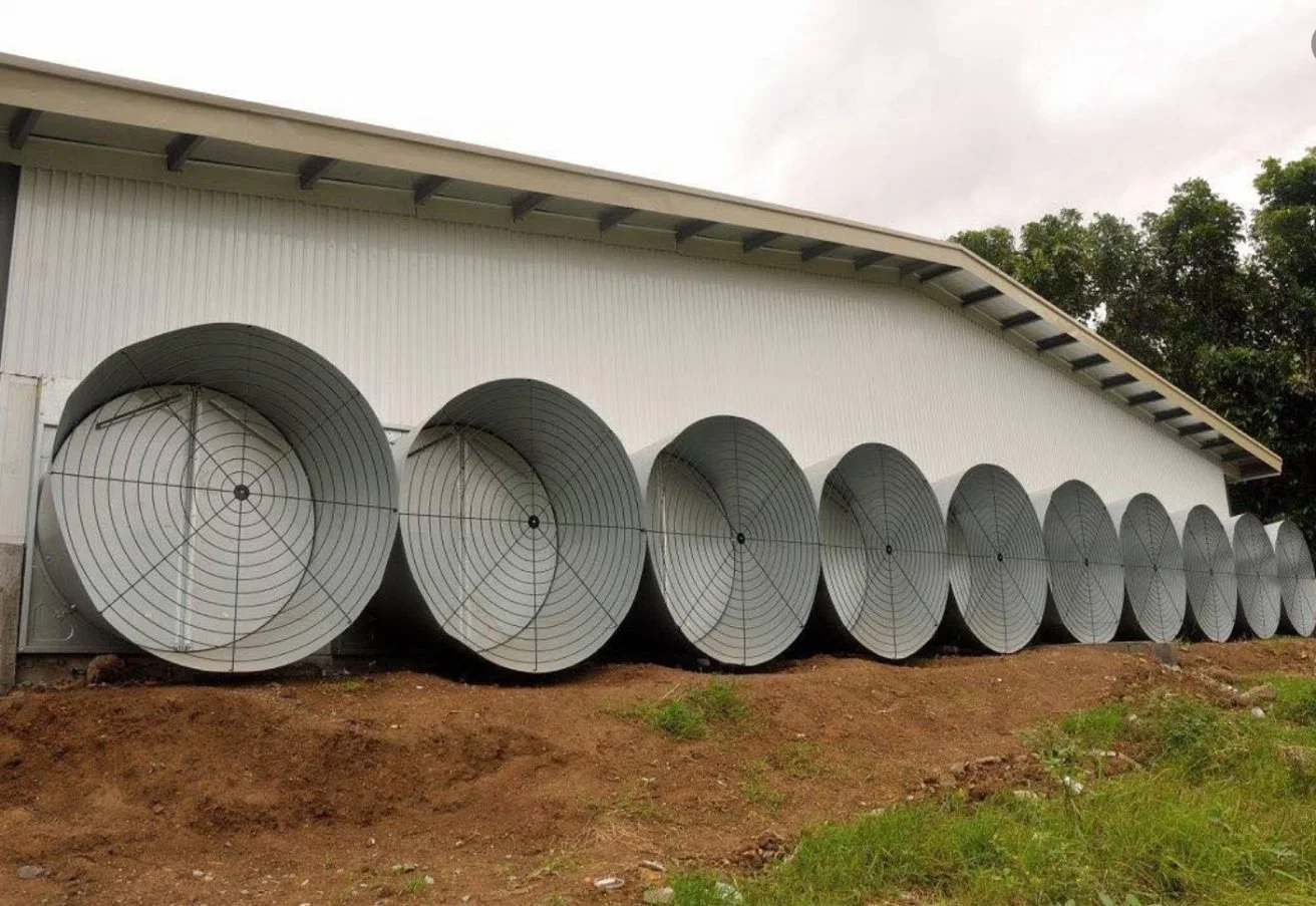 Aves de corral automáticas Equipo de ventilación de la granja Aire admisión Ventilador almohadillas de refrigeración Para la venta