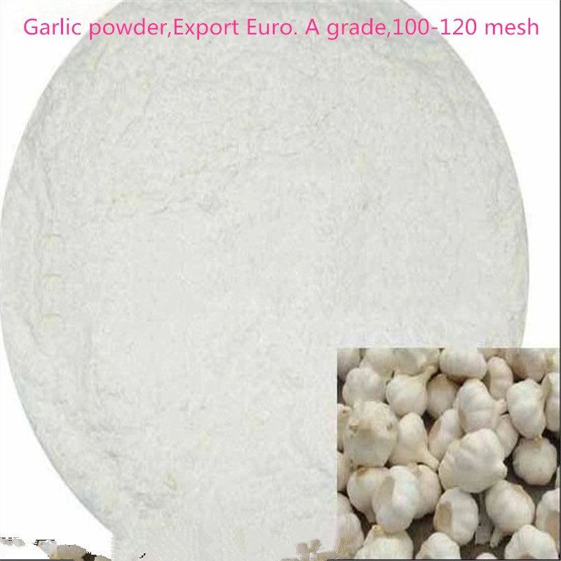 Garlic Powder Wholesale, Garlic Powder