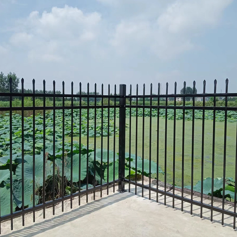 Garden Ornamental Wrought Iron Fence Manufacturer with ISO 9001/ Galvanized Steel Fence Welded Wire Mesh Fence/Galvanized Gabion Wall