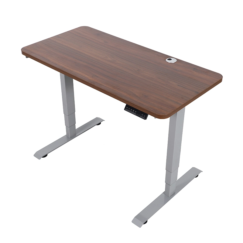 Electric Dual Motor Office Desk Height Adjustable Standing Computer