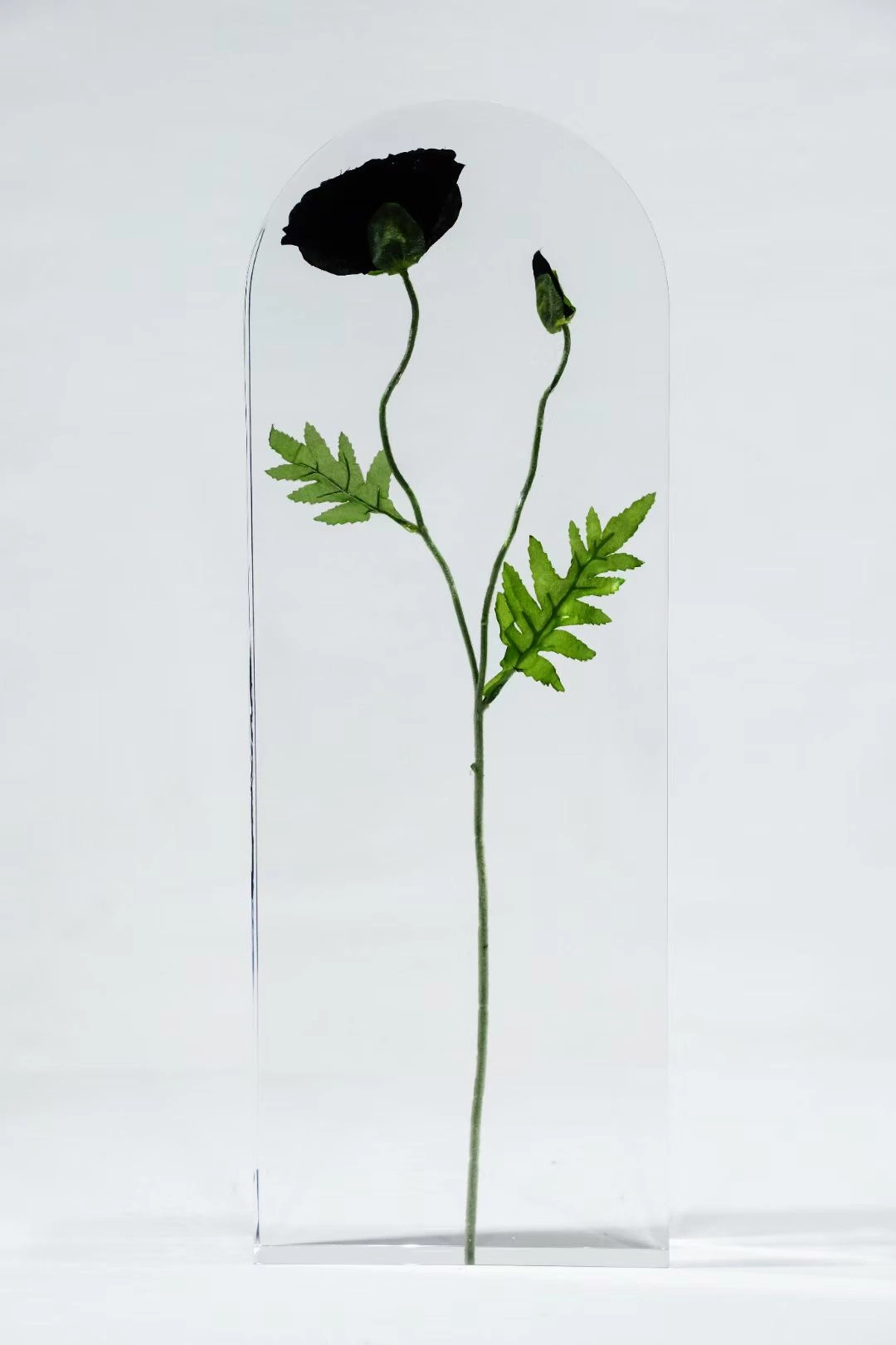 Custom Transparent Resin Tabletop Collectable Item Insert Real Plants