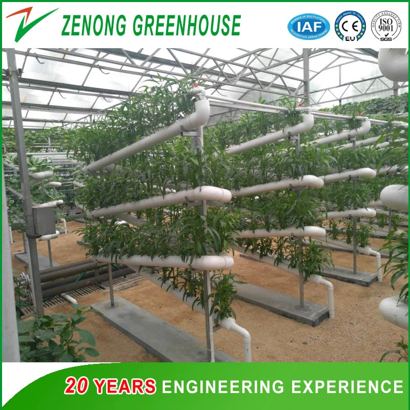 PVC Pipe Model Vertical Hydroponics System for Leaf Vegetables