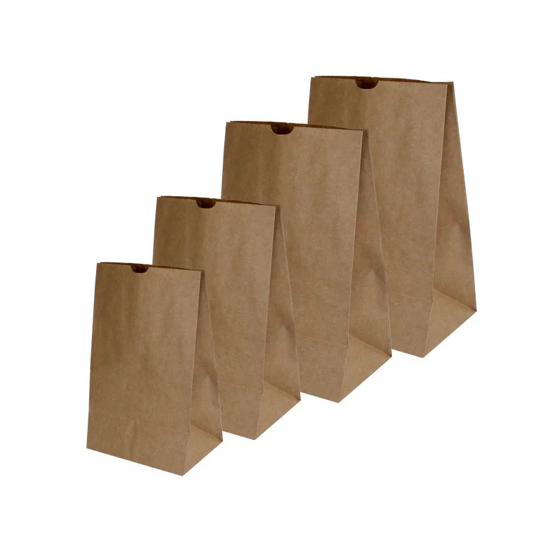 Customize Your Gift Packaging with Custom Printed Kraft Paper Bag