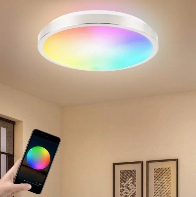 Energy Saving WiFi bluetooth Smart 24W New Designed Ultra Thin IP54 IP20 High Power Iron Chasis PVC/PS LED Light Indoor Modern Dimmable Ceiling Light