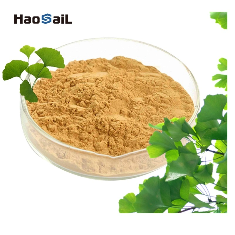 Natural Leaf Powder Folium Ginkgo Biloba Extract