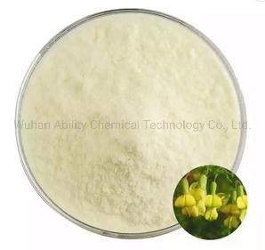 Manufacturer Supply Natural Organic Supplements Flower Genista Extract 98% Genistein Powder