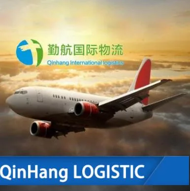 Professional Sensitive Cargo Air Freight  Air Cargo to The U. S. Special Line