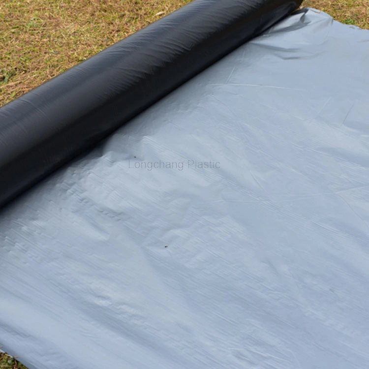 Clear Plastic Seedling Protective Film Mulching Sheet for Agriculture Film