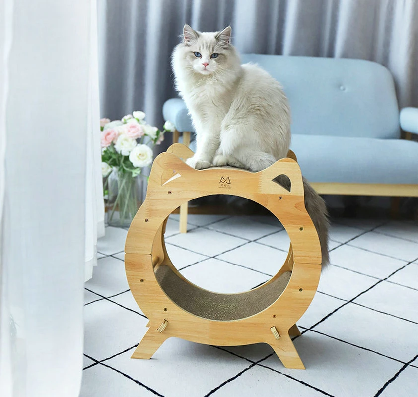 إطار تسلق متعدد الوظائف من Cat Tree مزدوج الطبقات مضلع Wbb19362