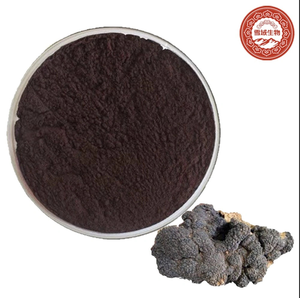 The Best Quality 100% Pure Chaga Mushroom Extract Powder Cordyceps Militaris Mushroom Reishi Mushroom Blends